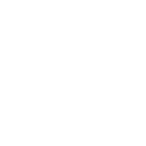 Grupo STE
