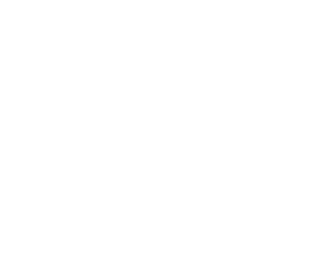 What Works Institute